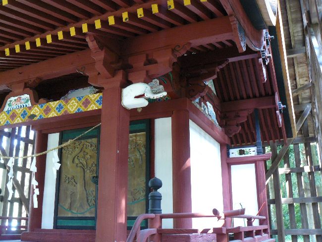 �t���_��