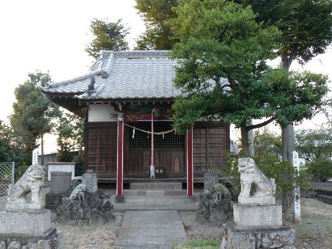 ���{�_��