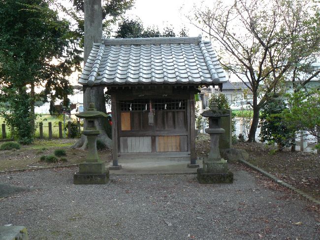 ���{�_��