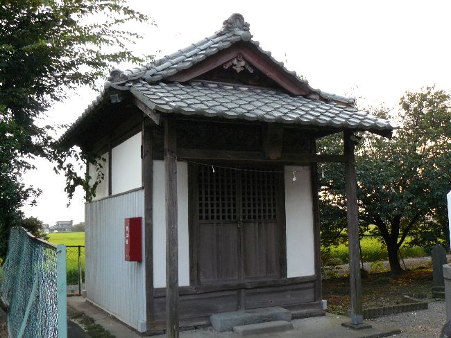 ���{�_��