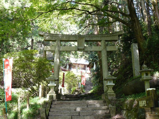 �����_��