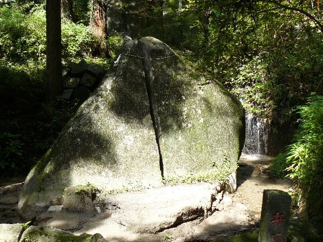 �����_��