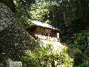 厳島神社境内「胎内潜り石」越に見える社殿
