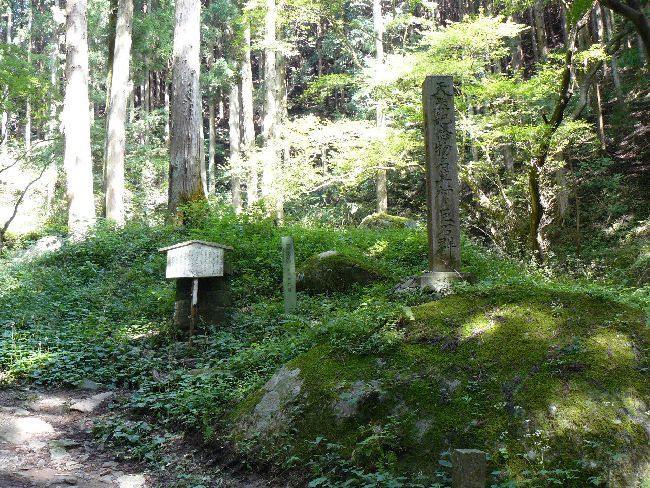 �������ΌQ