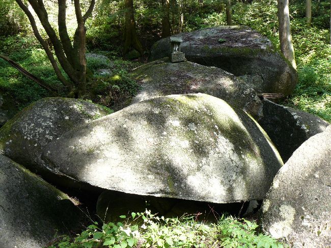 �������ΌQ