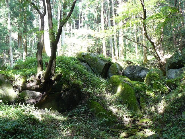 �������ΌQ