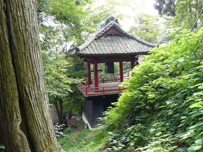 ��������V�i�ŏ����j