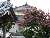 徳蔵寺木像五百羅漢像が安置されている羅漢堂