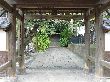 長林寺山門から見た参道石畳みの様子