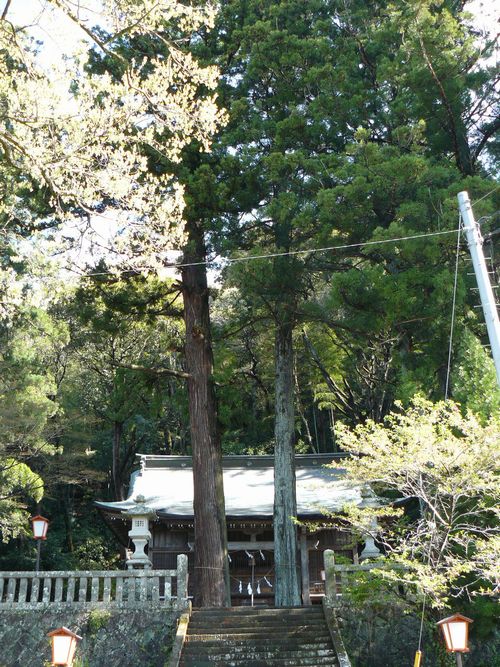 �ɉ��쉷��_��