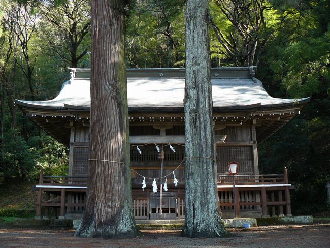 �ɉ��쉷��_��