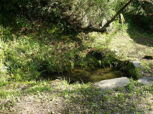 �ɉ����i���P��j