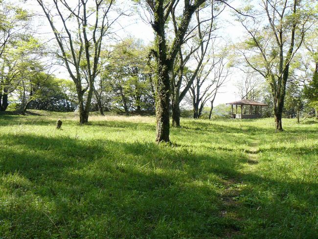 �ɉ����i���P��j