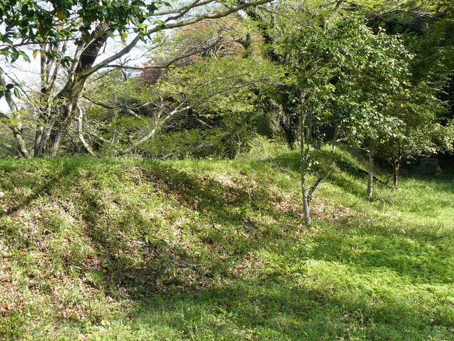 �ɉ����i���P��j