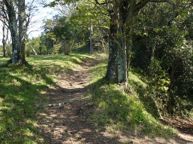 �ɉ����i���P��j