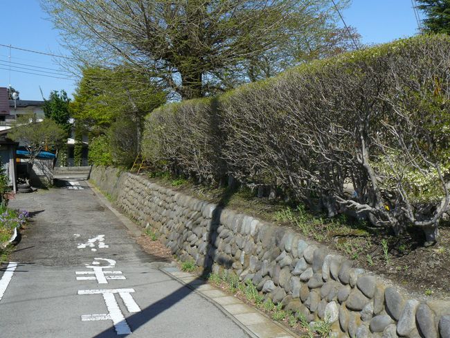 �ɉ��쎁����