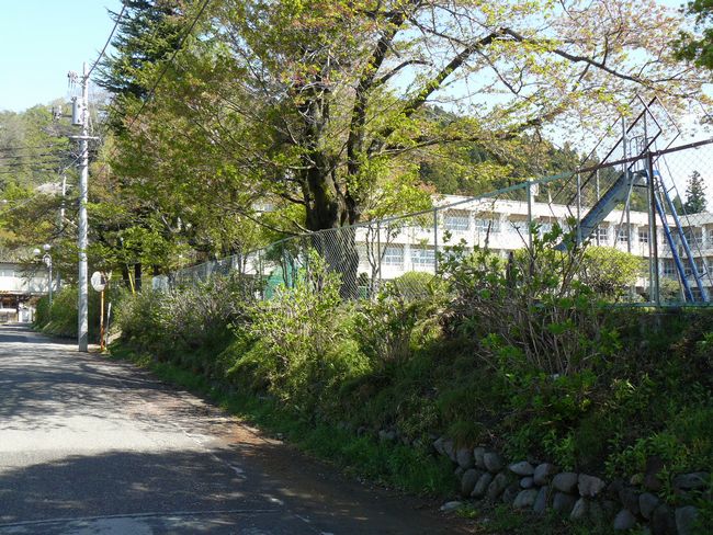 �ɉ��쎁����