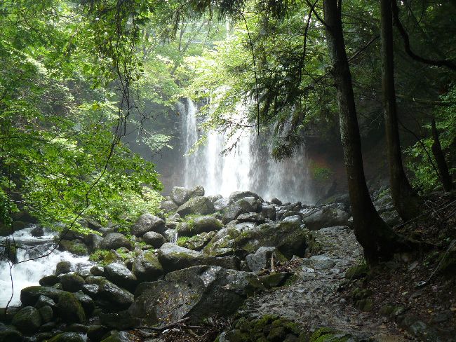 �����̑�