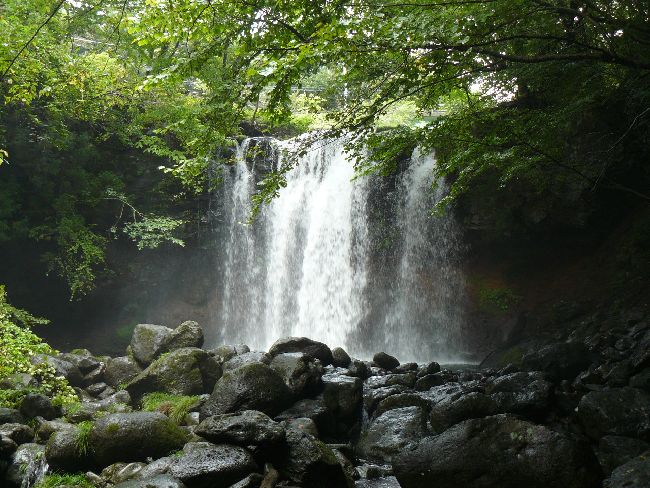 �����̑�