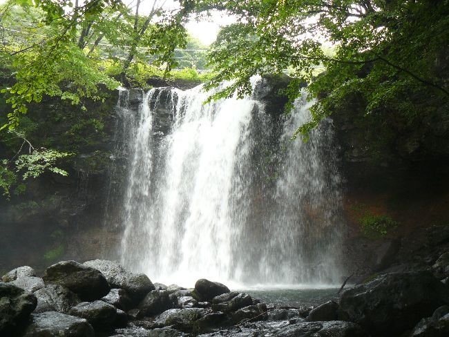 �����̑�