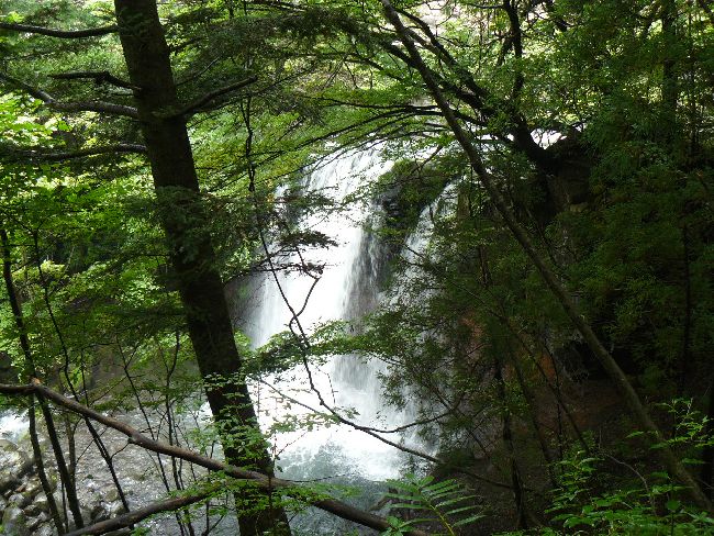 �����̑�