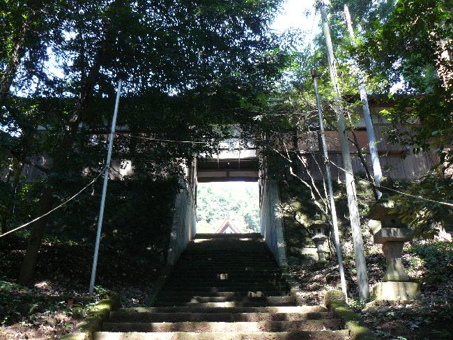 ���w�_��