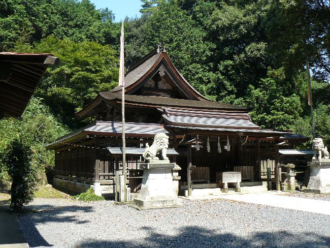 ���w�_��