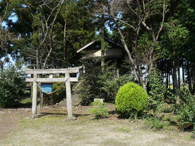 �����_��