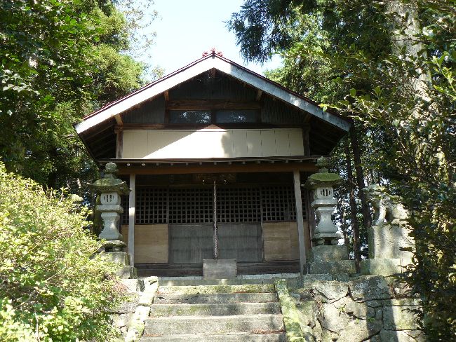 �����_��