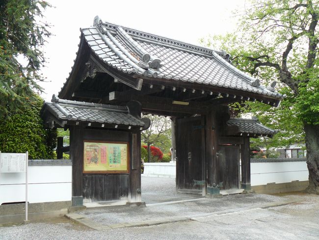 ����ˏ鉺���F������