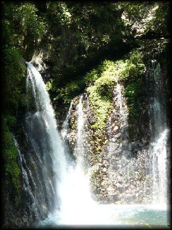 �����̑�