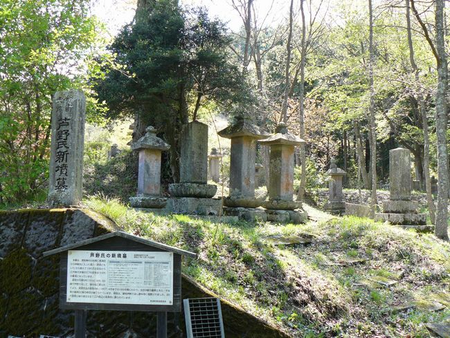 ���B�X���F����h-������