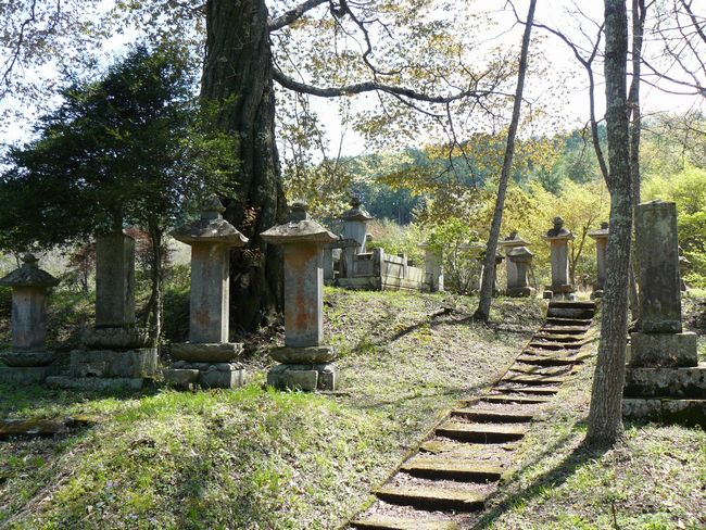 ���B�X���F����h-������