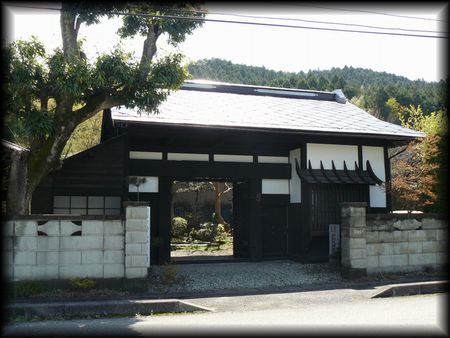 ����w������