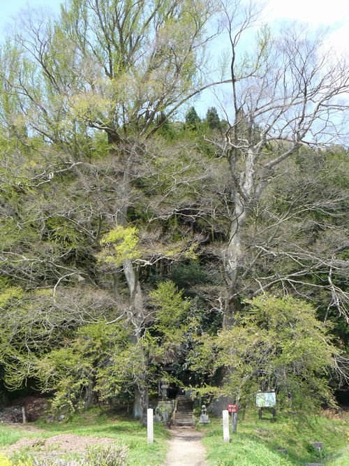 ���B�X���F����h-��̋{�_��