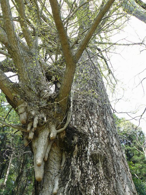 ���B�X���F����h-��̋{�_��