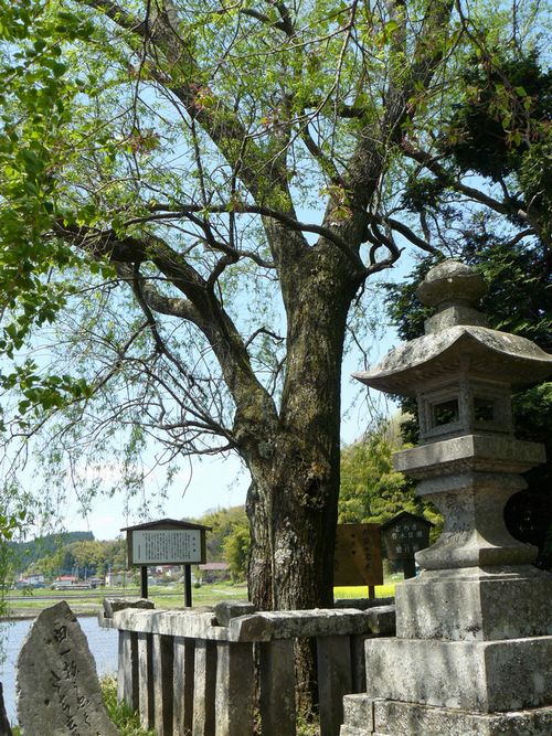 ���B�X���F����h-�V�s��