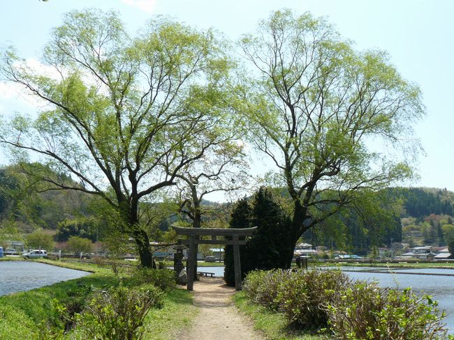 ���B�X���F����h-�V�s��