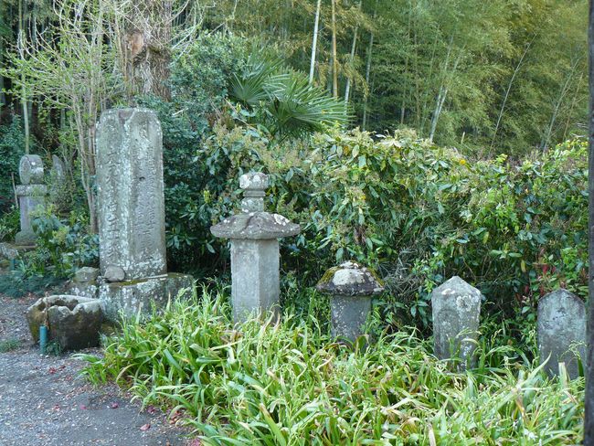 ���B�X���F���