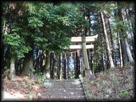 ��|�h�F��|�_��