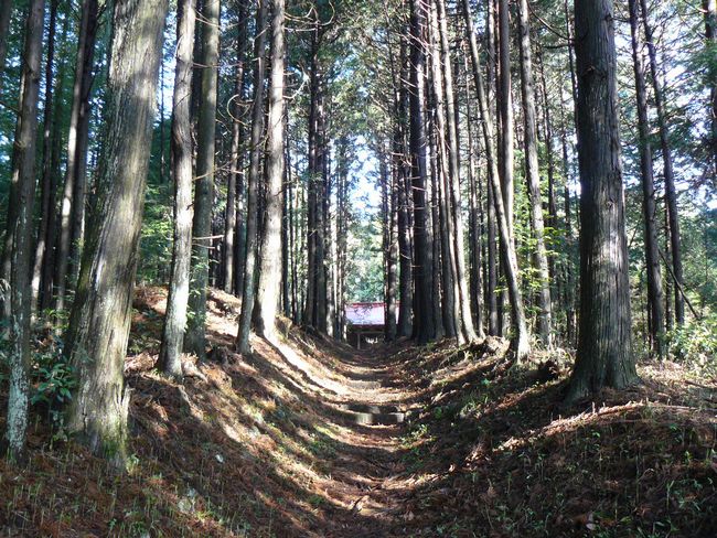 ���B�X���F��|�h-��|�_��