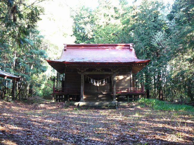 ���B�X���F��|�h-��|�_��