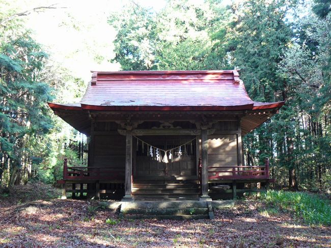 ���B�X���F��|�h-��|�_��