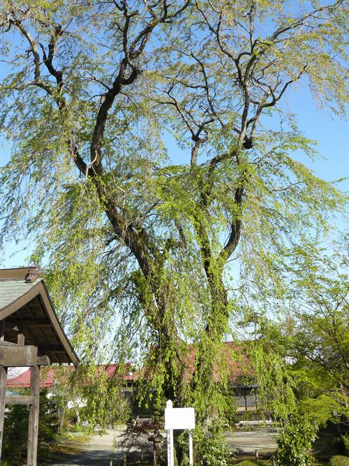 ���B�X���F��|�h-���ώ�