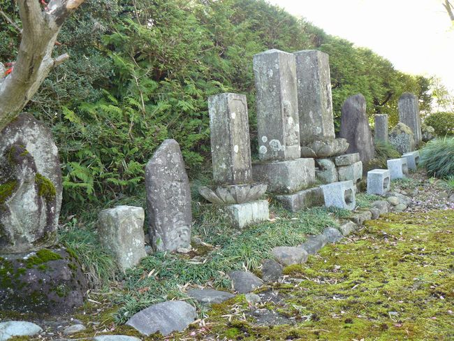 ���B�X���F��|�h-���ώ�