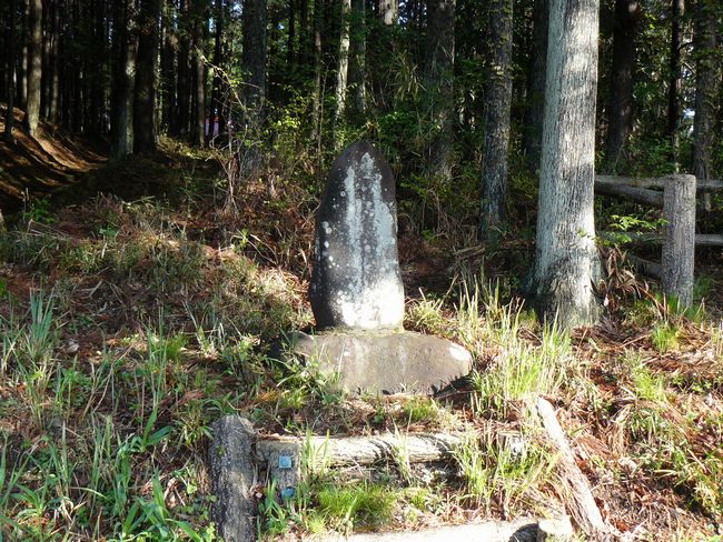 ���B�X���F��|�h-�ꗢ��