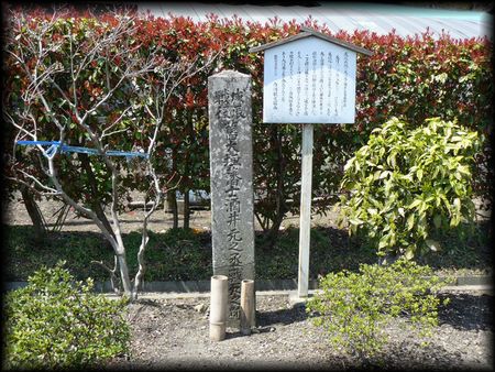 ��C�푈���