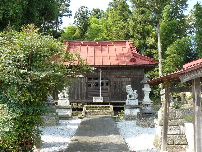 �����_��