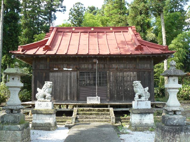 �����_��