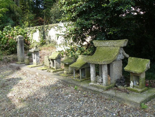 �����_��